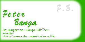 peter banga business card